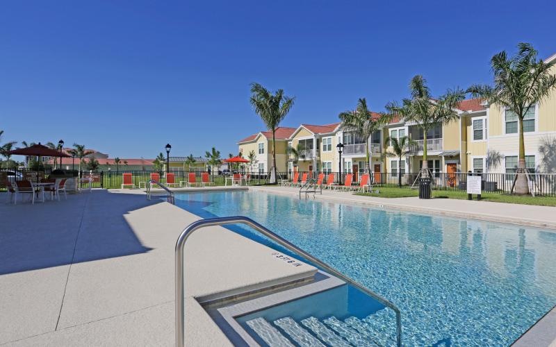 a swimming pool with palm trees and buildings in the background